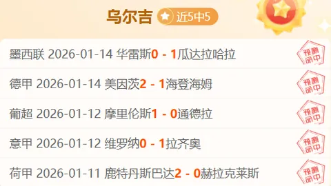 爱游戏体育